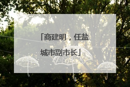 商建明，任盐城市副市长