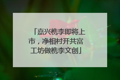 嘉兴槜李即将上市，净相村开共富工坊做槜李文创