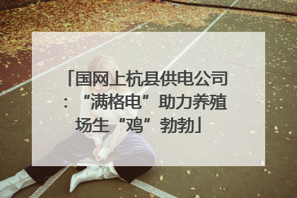 国网上杭县供电公司：“满格电”助力养殖场生“鸡”勃勃
