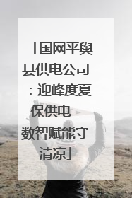 国网平舆县供电公司：迎峰度夏保供电  数智赋能守清凉