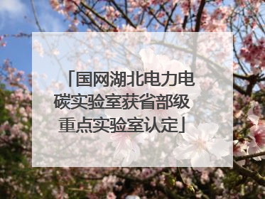 国网湖北电力电碳实验室获省部级重点实验室认定