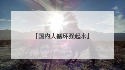 国内大循环强起来
