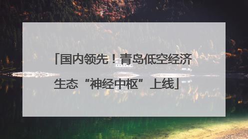 国内领先！青岛低空经济生态“神经中枢”上线