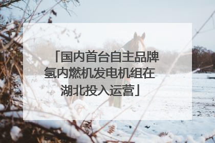 国内首台自主品牌氢内燃机发电机组在湖北投入运营