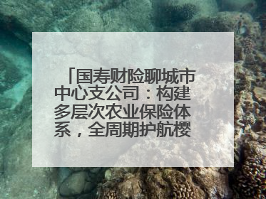 国寿财险聊城市中心支公司：构建多层次农业保险体系，全周期护航樱桃产业发展