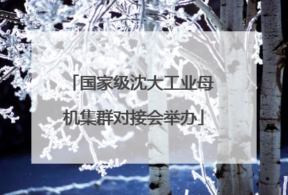 国家级沈大工业母机集群对接会举办