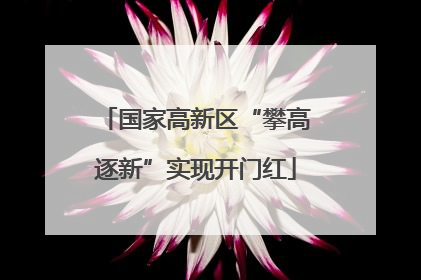 国家高新区“攀高逐新”实现开门红