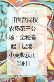 国营民权农场第三分场：金穗卷起千层浪 小麦收获正当时