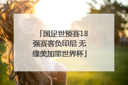 国足世预赛18强赛客负印尼 无缘美加墨世界杯