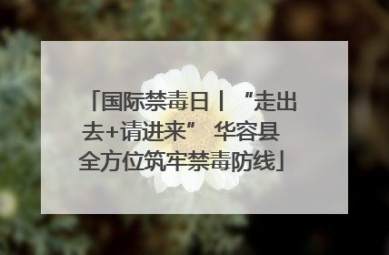 国际禁毒日丨“走出去+请进来” 华容县全方位筑牢禁毒防线