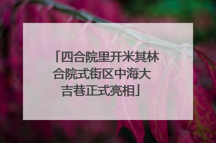 四合院里开米其林 合院式街区中海大吉巷正式亮相
