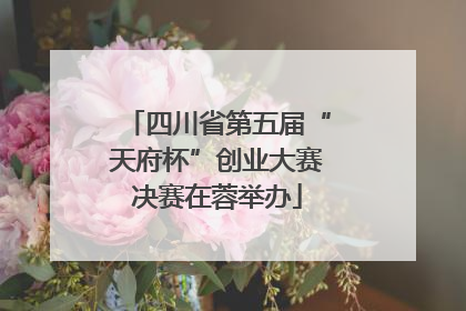四川省第五届“天府杯”创业大赛决赛在蓉举办