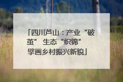 四川芦山：产业“破茧” 生态“织锦” 擘画乡村振兴新貌