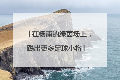 在杨浦的绿茵场上，踢出更多足球小将