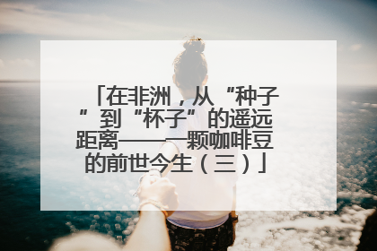 在非洲，从“种子”到“杯子”的遥远距离——一颗咖啡豆的前世今生（三）