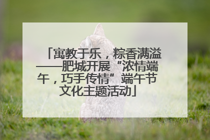 寓教于乐，粽香满溢——肥城开展“浓情端午，巧手传情”端午节文化主题活动