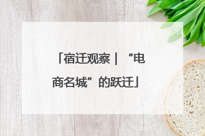 宿迁观察｜“电商名城”的跃迁