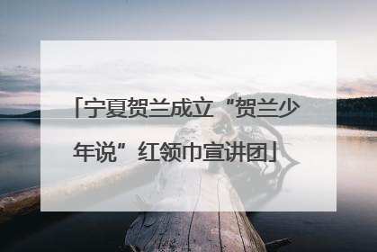 宁夏贺兰成立“贺兰少年说”红领巾宣讲团