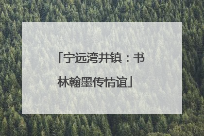 宁远湾井镇：书林翰墨传情谊
