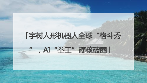 宇树人形机器人全球“格斗秀”，AI“拳王”硬核破圈