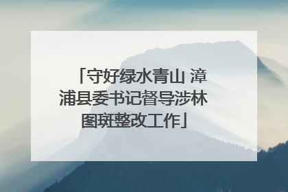 守好绿水青山 漳浦县委书记督导涉林图斑整改工作