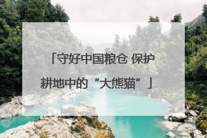 守好中国粮仓 保护耕地中的“大熊猫”