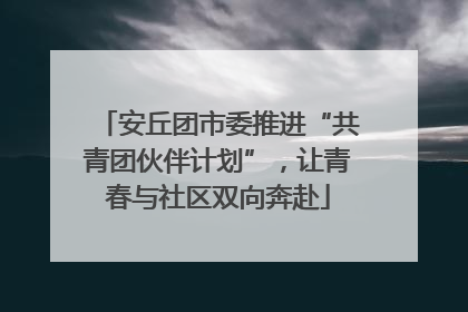 安丘团市委推进“共青团伙伴计划”，让青春与社区双向奔赴