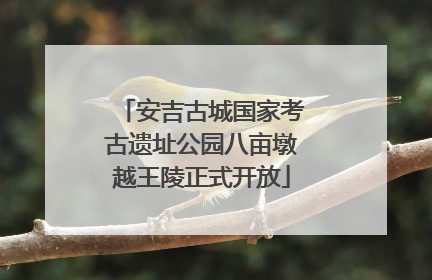安吉古城国家考古遗址公园八亩墩越王陵正式开放
