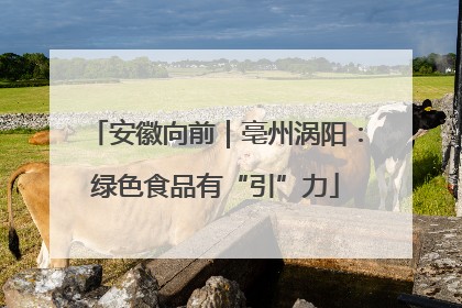 安徽向前｜亳州涡阳：绿色食品有“引”力