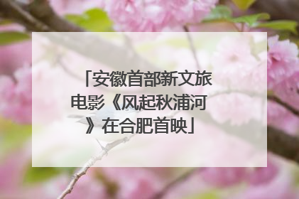 安徽首部新文旅电影《风起秋浦河》在合肥首映