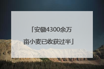 安徽4300余万亩小麦已收获过半