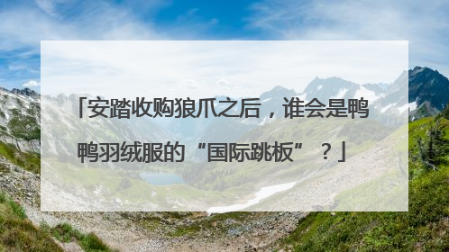 安踏收购狼爪之后，谁会是鸭鸭羽绒服的“国际跳板”？
