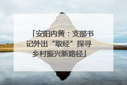 安阳内黄：支部书记外出“取经”探寻乡村振兴新路径