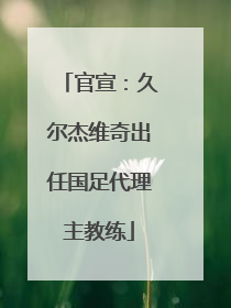 官宣：久尔杰维奇出任国足代理主教练