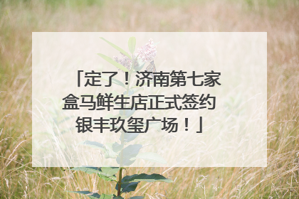 定了！济南第七家盒马鲜生店正式签约银丰玖玺广场！