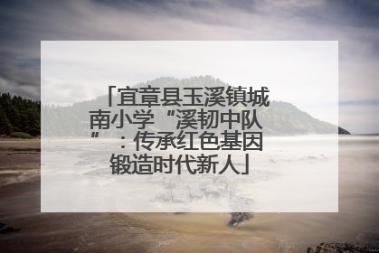 宜章县玉溪镇城南小学“溪韧中队”：传承红色基因 锻造时代新人