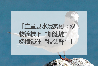 宜章县水浸窝村：双物流按下“加速键” 杨梅锁住“枝头鲜”