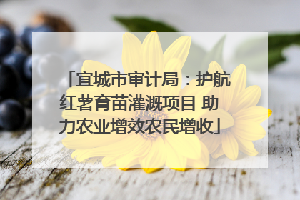 宜城市审计局：护航红薯育苗灌溉项目 助力农业增效农民增收