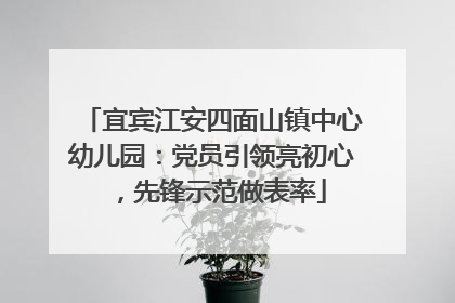 宜宾江安四面山镇中心幼儿园：党员引领亮初心，先锋示范做表率