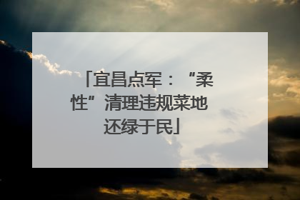 宜昌点军：“柔性”清理违规菜地 还绿于民