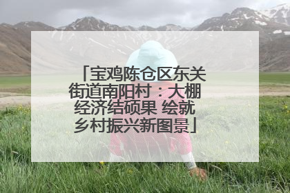 宝鸡陈仓区东关街道南阳村：大棚经济结硕果 绘就乡村振兴新图景