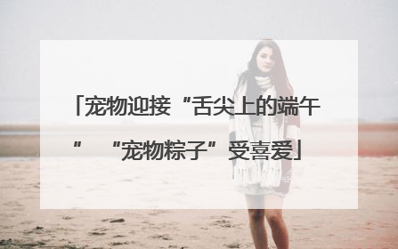 宠物迎接“舌尖上的端午” “宠物粽子”受喜爱