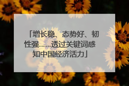 增长稳、态势好、韧性强……透过关键词感知中国经济活力