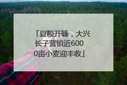 夏粮开镰，大兴长子营镇近6000亩小麦迎丰收
