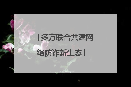 多方联合共建网络防诈新生态