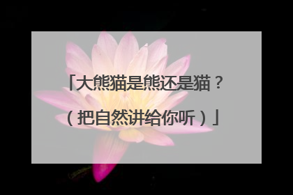 大熊猫是熊还是猫？（把自然讲给你听）
