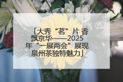 大秀“茗”片 香飘京华——2025年“一展两会”展现泉州茶独特魅力