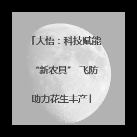 大悟：科技赋能“新农具” 飞防助力花生丰产