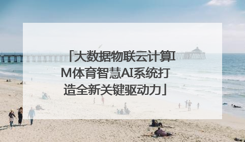 大数据物联云计算IM体育智慧AI系统打造全新关键驱动力
