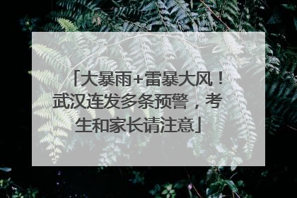大暴雨+雷暴大风！武汉连发多条预警，考生和家长请注意